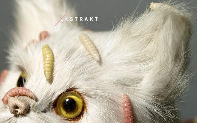 Ekstrakt w/ Shed Live (GER)